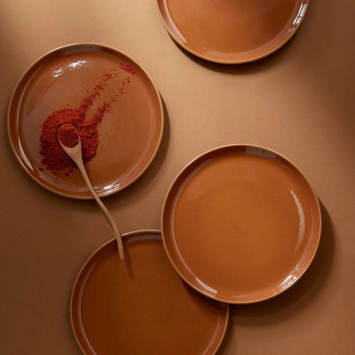 Stoneware Flat Salad/Dinner Plate | Edan 9.4" - Matte/Shiny Terracotta