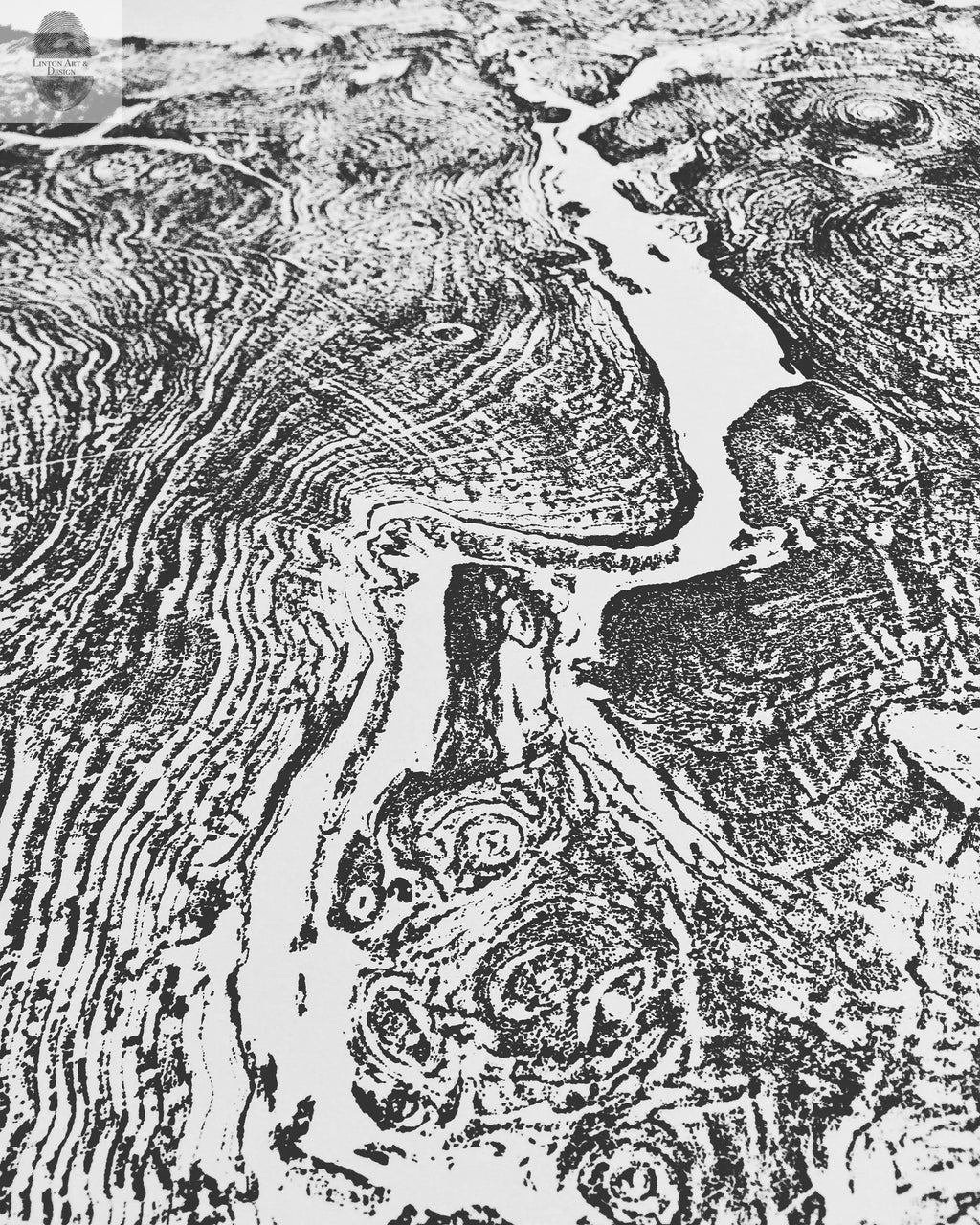 Oversized Big Leaf Maple Tree Ring Print | Handmade Massachusetts Woodcut Art | 36" x 48"