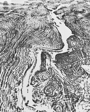 Oversized Big Leaf Maple Tree Ring Print | Handmade Massachusetts Woodcut Art | 36" x 48"