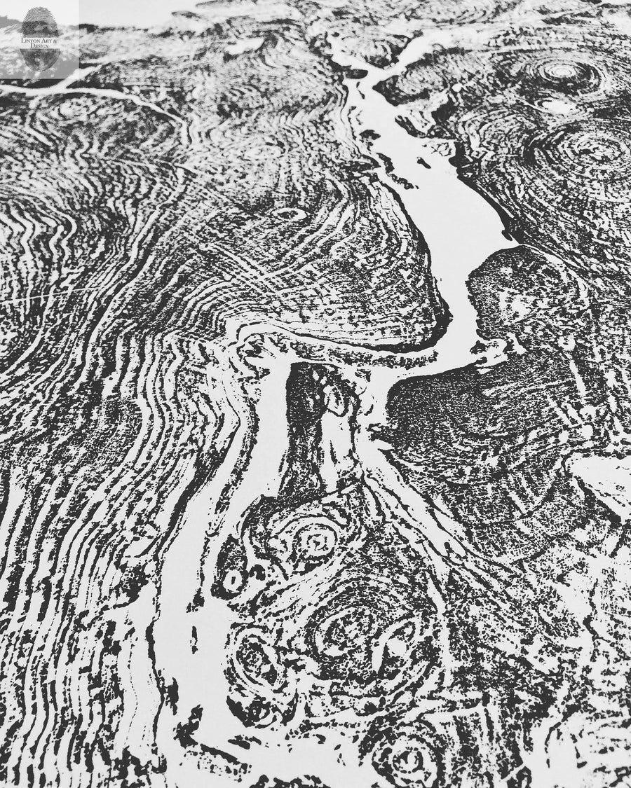Oversized Big Leaf Maple Tree Ring Print | Handmade Massachusetts Woodcut Art | 36" x 48"