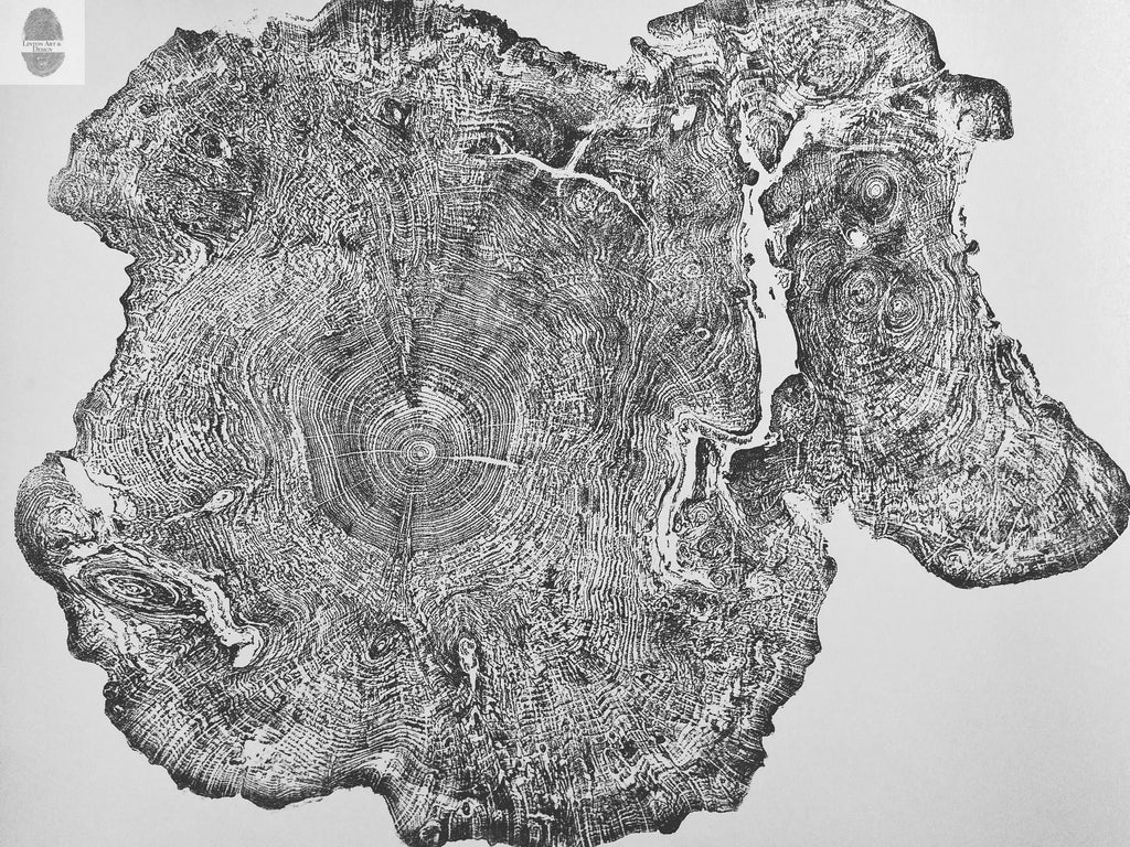 Oversized Big Leaf Maple Tree Ring Print | Handmade Massachusetts Woodcut Art | 36" x 48"