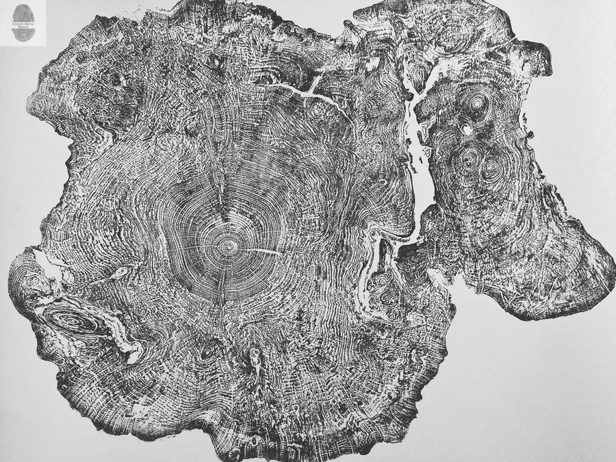 Oversized Big Leaf Maple Tree Ring Print | Handmade Massachusetts Woodcut Art | 36" x 48"