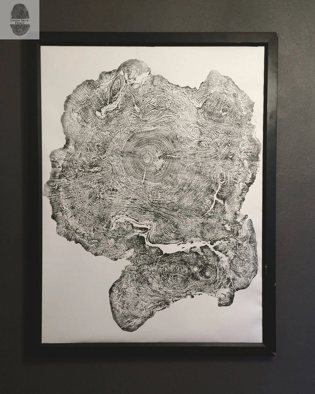 Oversized Big Leaf Maple Tree Ring Print | Handmade Massachusetts Woodcut Art | 36" x 48"
