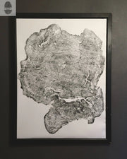 Oversized Big Leaf Maple Tree Ring Print | Handmade Massachusetts Woodcut Art | 36" x 48"