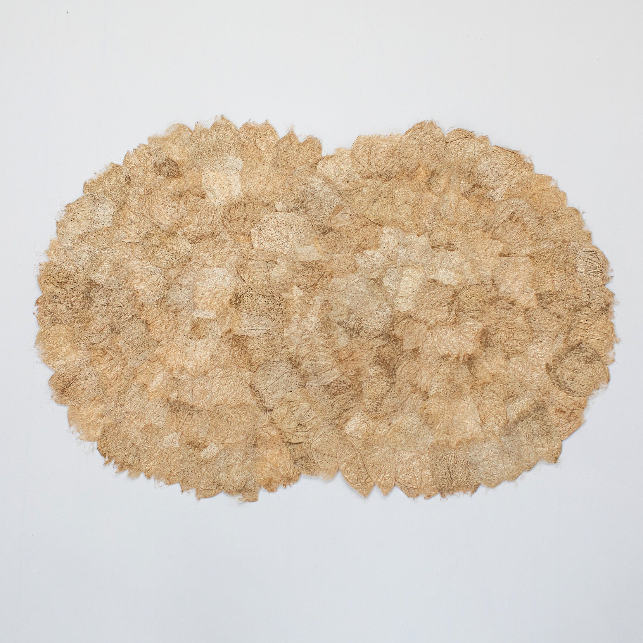 Wild Silk Charger (Pair) - Ceranchia Dense