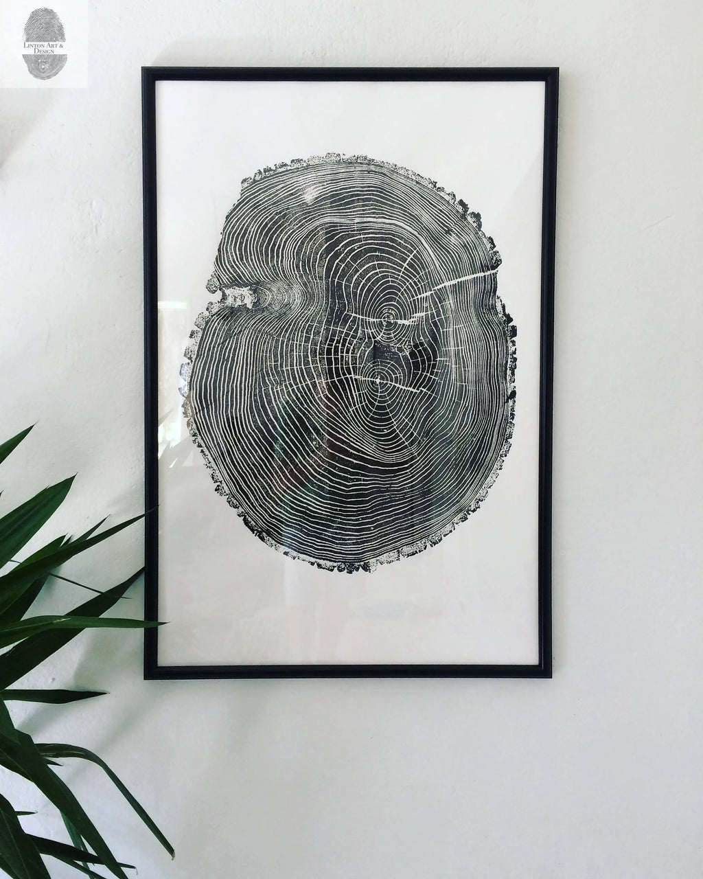 Handmade Tree Ring Prints from Reclaimed Wood | Three-Panel Woodcut Wall Art Set | 24" x 36" Each
