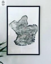 Handmade Tree Ring Prints from Reclaimed Wood | Three-Panel Woodcut Wall Art Set | 24" x 36" Each
