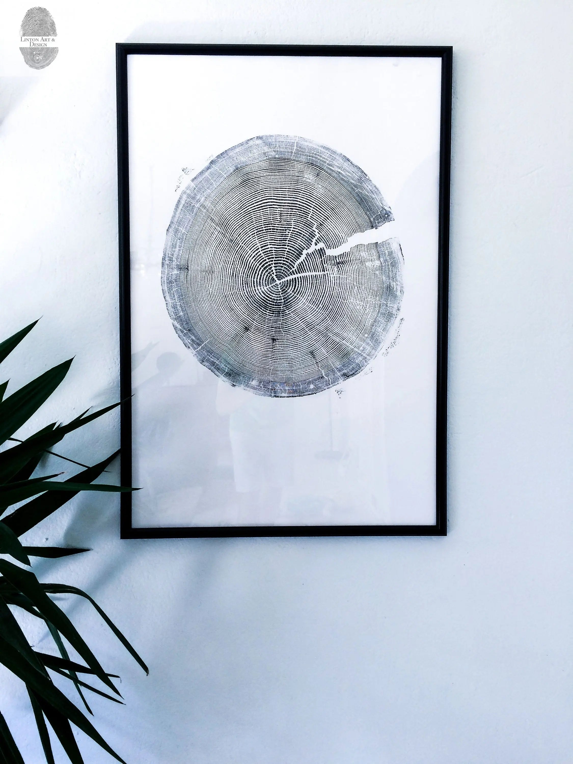 Handmade Tree Ring Prints from Reclaimed Wood | Three-Panel Woodcut Wall Art Set | 24" x 36" Each