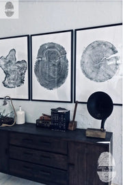 Handmade Tree Ring Prints from Reclaimed Wood | Three-Panel Woodcut Wall Art Set | 24" x 36" Each