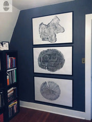 Handmade Tree Ring Prints from Reclaimed Wood | Three-Panel Woodcut Wall Art Set | 24" x 36" Each