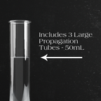 QUINTUPLE Propagation Stand