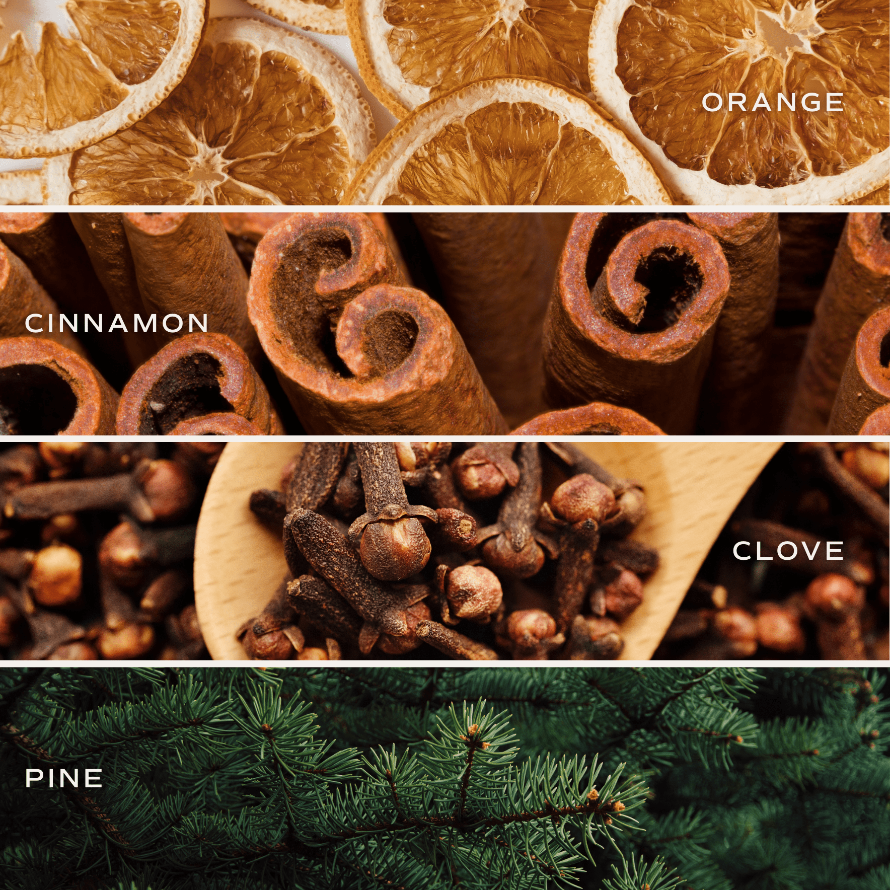 Warm and Cozy Soy Candle - White Translucent Glass Pumpkin Jar - 20 oz.