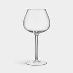 Aroma Copa Gin Set Of 4 - Shop_nameOrrefors