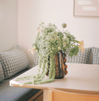 Betta Vase Amber by MESO.