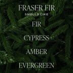 Christmas Candle Gift Box Set (Christmas, Warm and Cozy, Fraser Fir) - Shop_nameSweet Water Decor