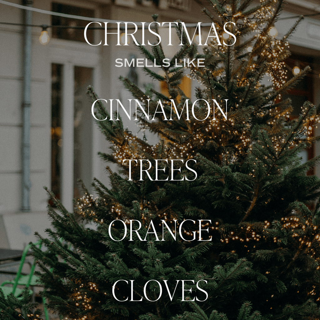Christmas Candle Gift Box Set (Christmas, Warm and Cozy, Fraser Fir) - Shop_nameSweet Water Decor