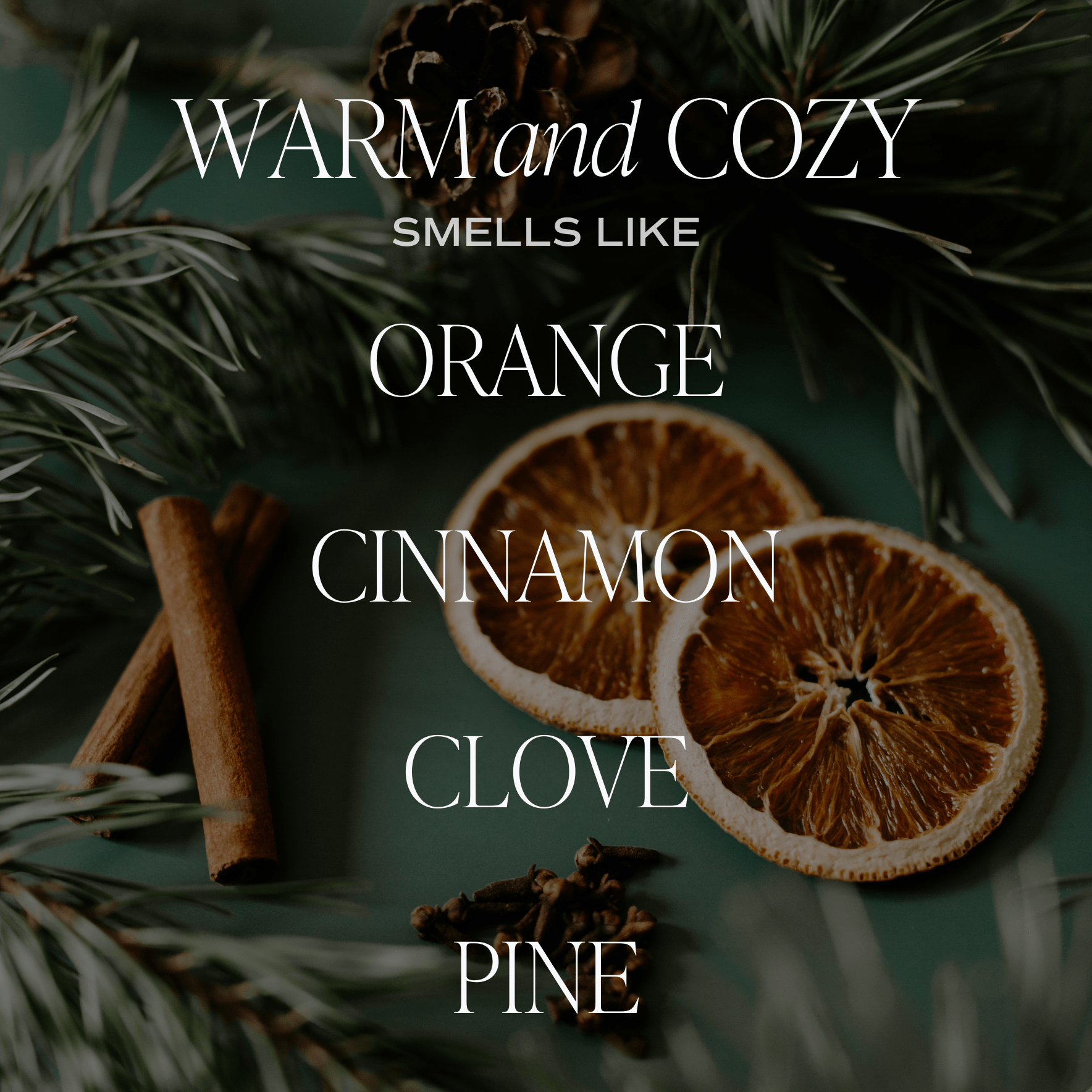 Christmas Candle Gift Box Set (Christmas, Warm and Cozy, Fraser Fir) - Shop_nameSweet Water Decor