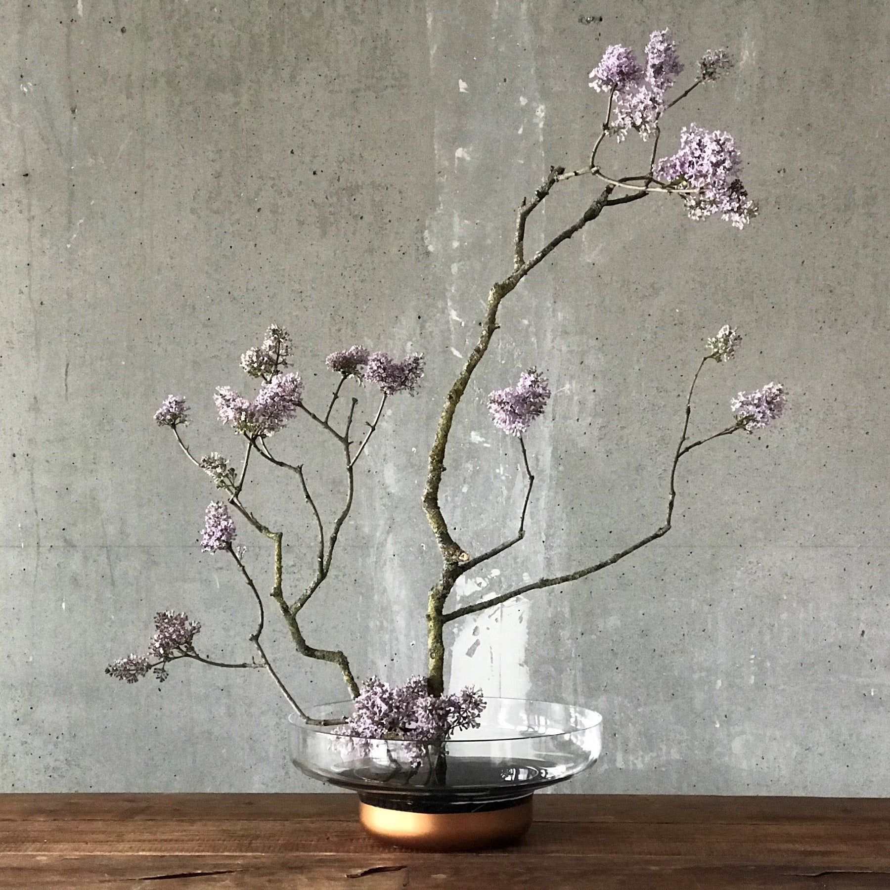 Contour Bowl Wide Copper.