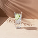 Hemingway Set of 4 High Ball Glasses.