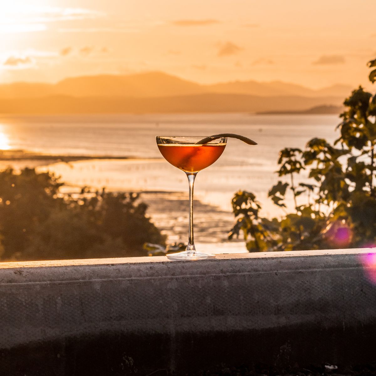 Hepburn Set of 2 Coupe Glasses.