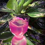 Hepburn Set of 4 Low Ball Glasses.