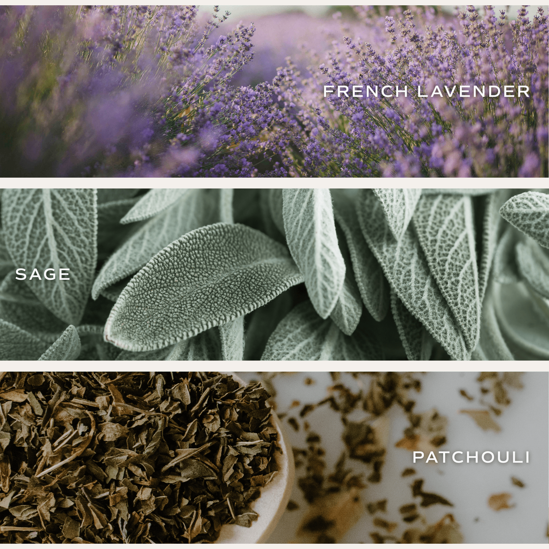 Lavender and Sage Soy Candle - Tinted Glass Jar - 12 oz.