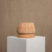 Mateo Terracotta Planter by MESO.