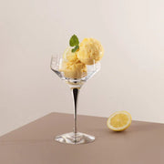 Metropol Coupe Glasses  - Set of 2.