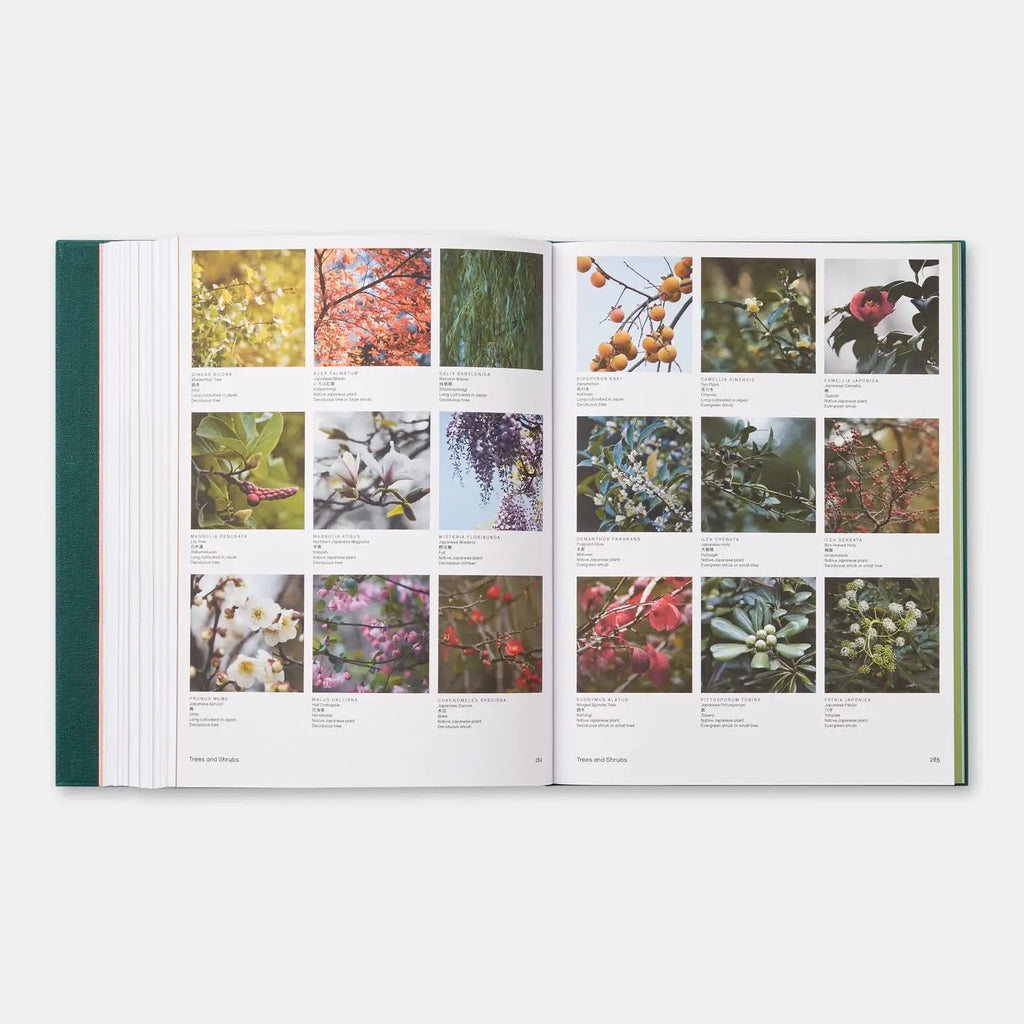 Phaidon - The Japanese Garden.
