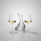 White Wine Decanter & Stemless Glass Bundle