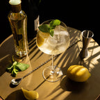 Raye Angled Crystal Amaro Spritz Glasses Set of 2.