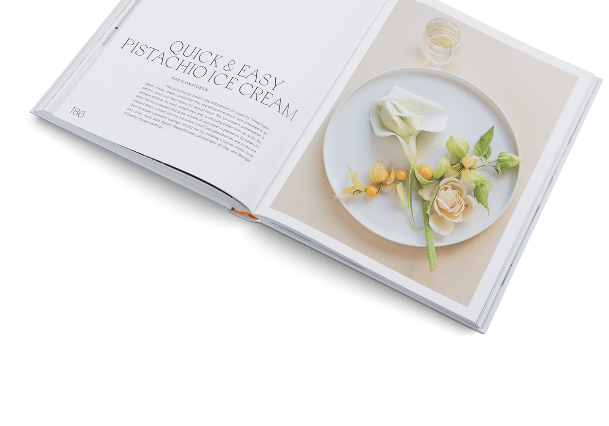 Story on a Plate - Shop_namegestalten US Shop