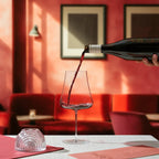 Stemless Red Wine Decanter Gift Set