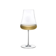 White Wine Decanter & Stemless Glass Bundle