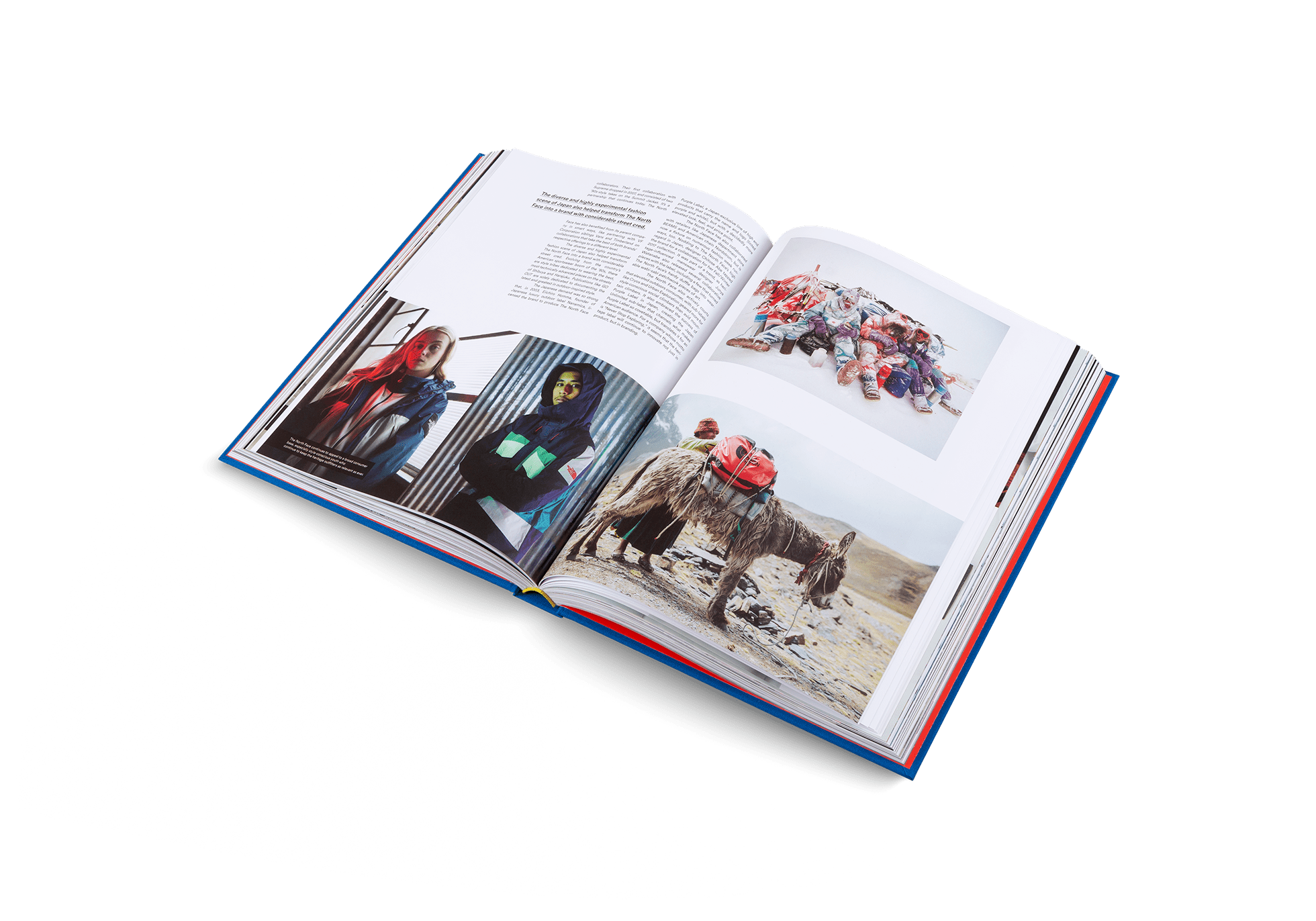 The Incomplete (Updated Edition) - Shop_namegestalten US Shop
