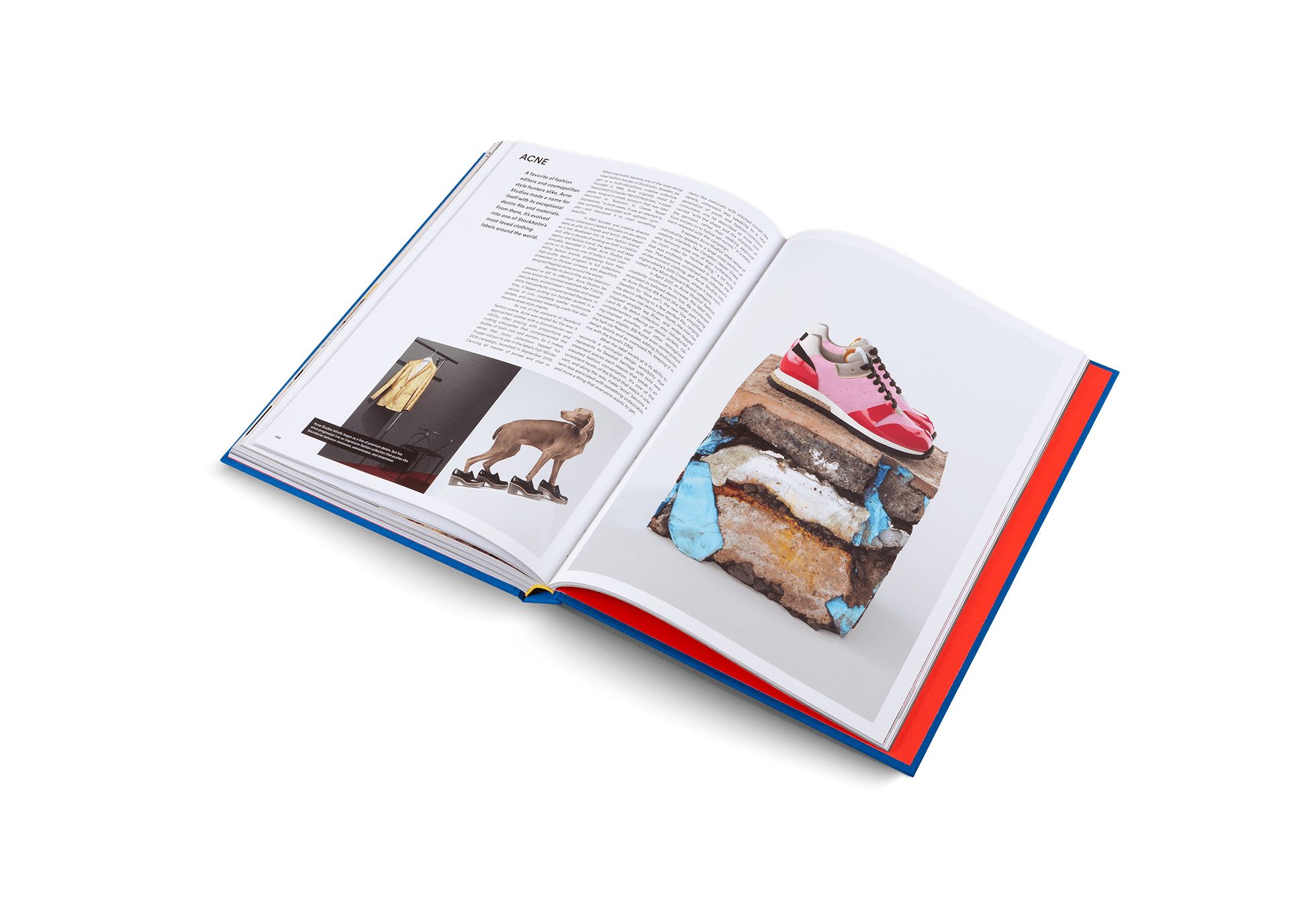 The Incomplete (Updated Edition) - Shop_namegestalten US Shop