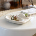 Tide Pool Platter.