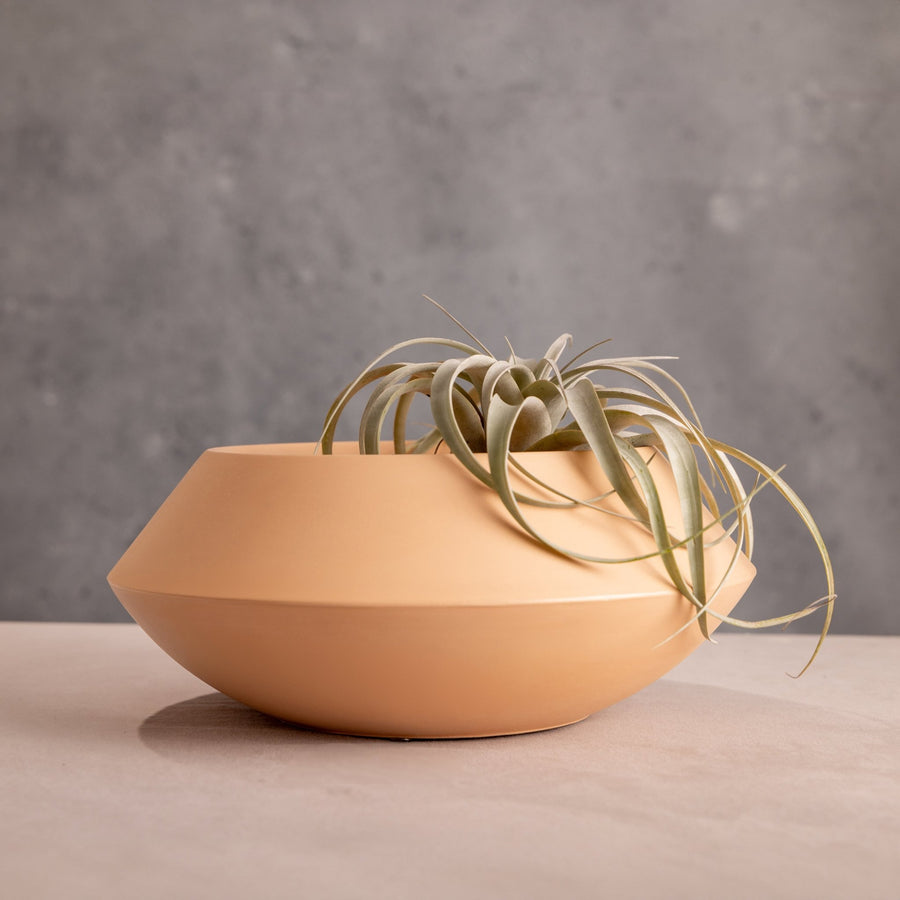 Utopia Bowl.