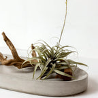 Valley Oval Platter.