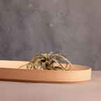 Valley Oval Platter.