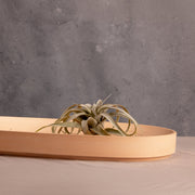 Valley Oval Platter.